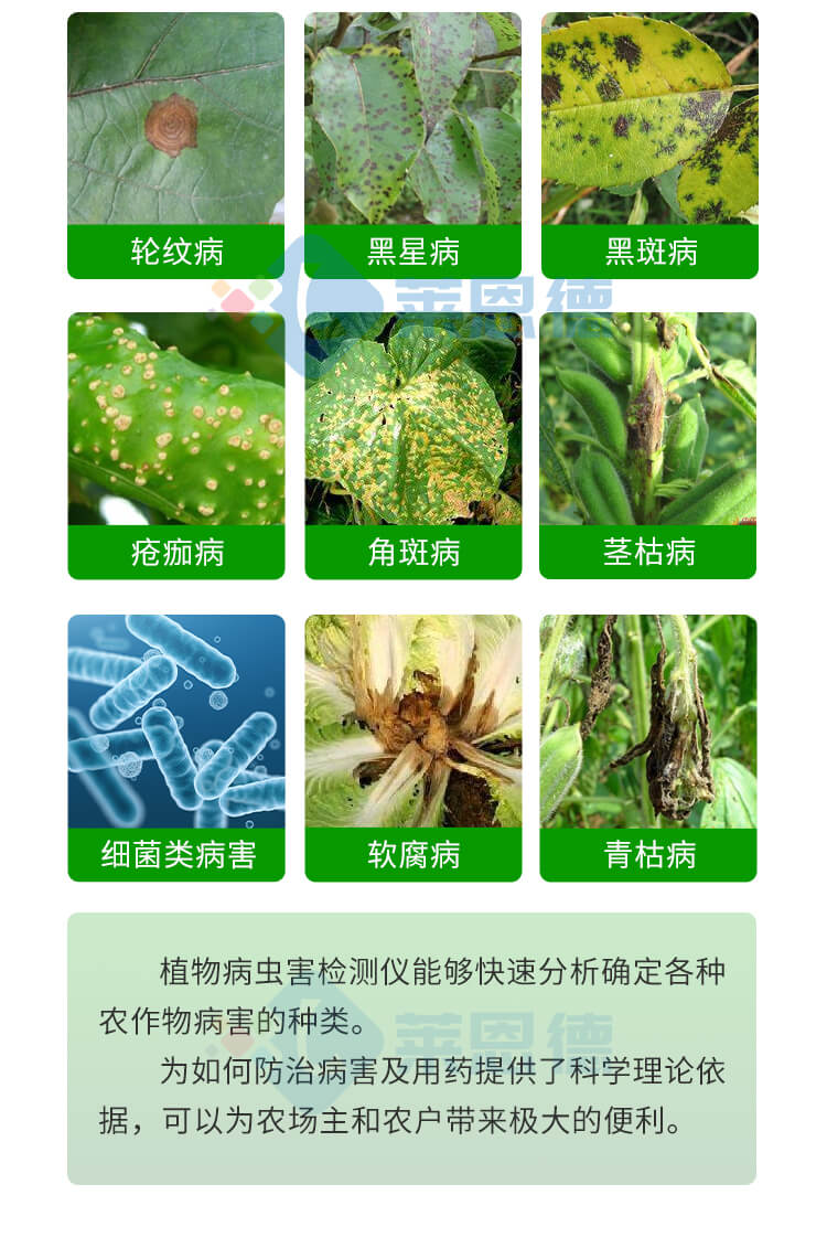 植物病蟲(chóng)害診斷儀