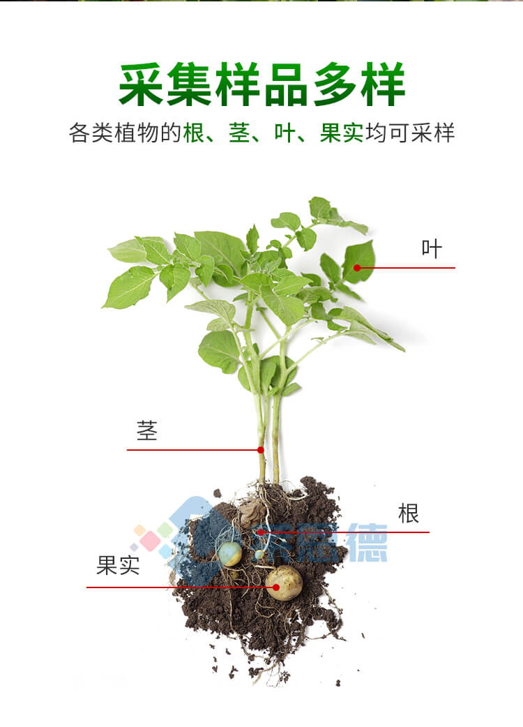 植物病蟲(chóng)害診斷儀