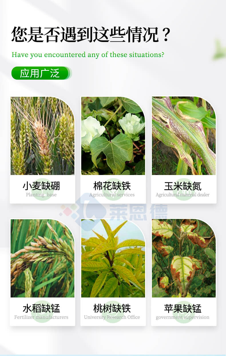 土壤養(yǎng)分含量測(cè)定儀