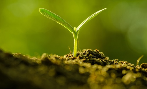 為避免誤導(dǎo)用戶，便攜式土壤水分速測(cè)儀使用需注意