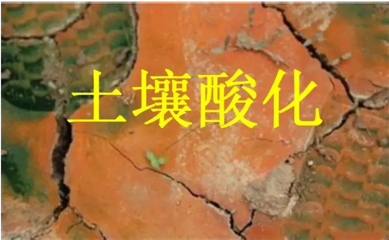 識別土壤“病”，土壤測試儀器是如何提高土壤免疫力的？