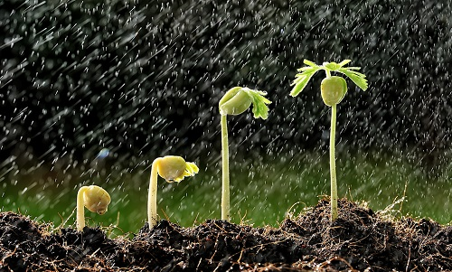 常用土壤水分測(cè)量方法詳細(xì)介紹