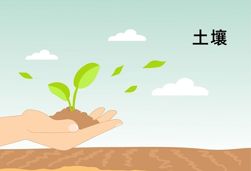 土壤墑情監(jiān)測系統(tǒng)在精細(xì)農(nóng)業(yè)發(fā)展中扮演著什么角色？