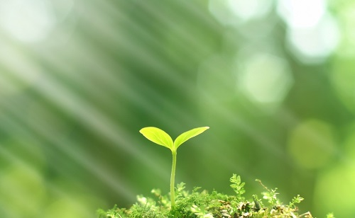 推廣測(cè)土配方施肥技術(shù)的有哪些好處？