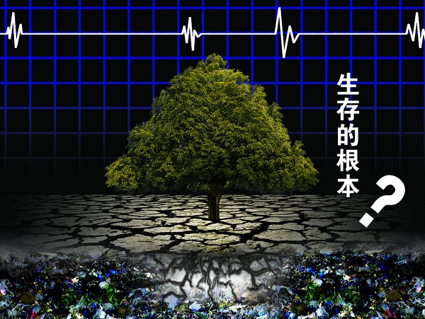 土壤重金屬嚴(yán)重超標(biāo)，土壤修復(fù)離不開土壤檢測儀
