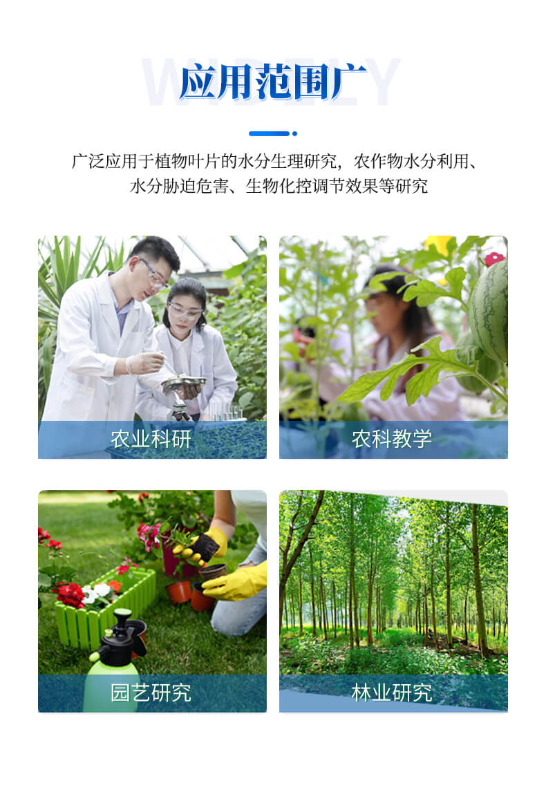 植物氣孔計